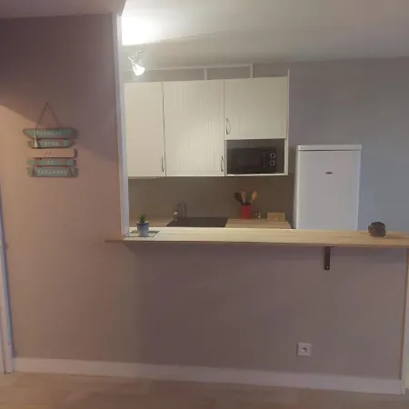 5 Personnes 52m2 Avec Grand Salon Et 1 Chambre Proche Aeroport Et Gare Apartament *